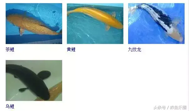 圆形门风水好吗 风水前圆后方什么意思