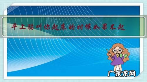 早上猫叫你起床的时候如果不起,猫咪会不会难过?