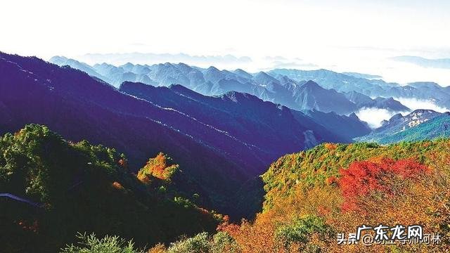 如何做到自尊、自爱、自强?