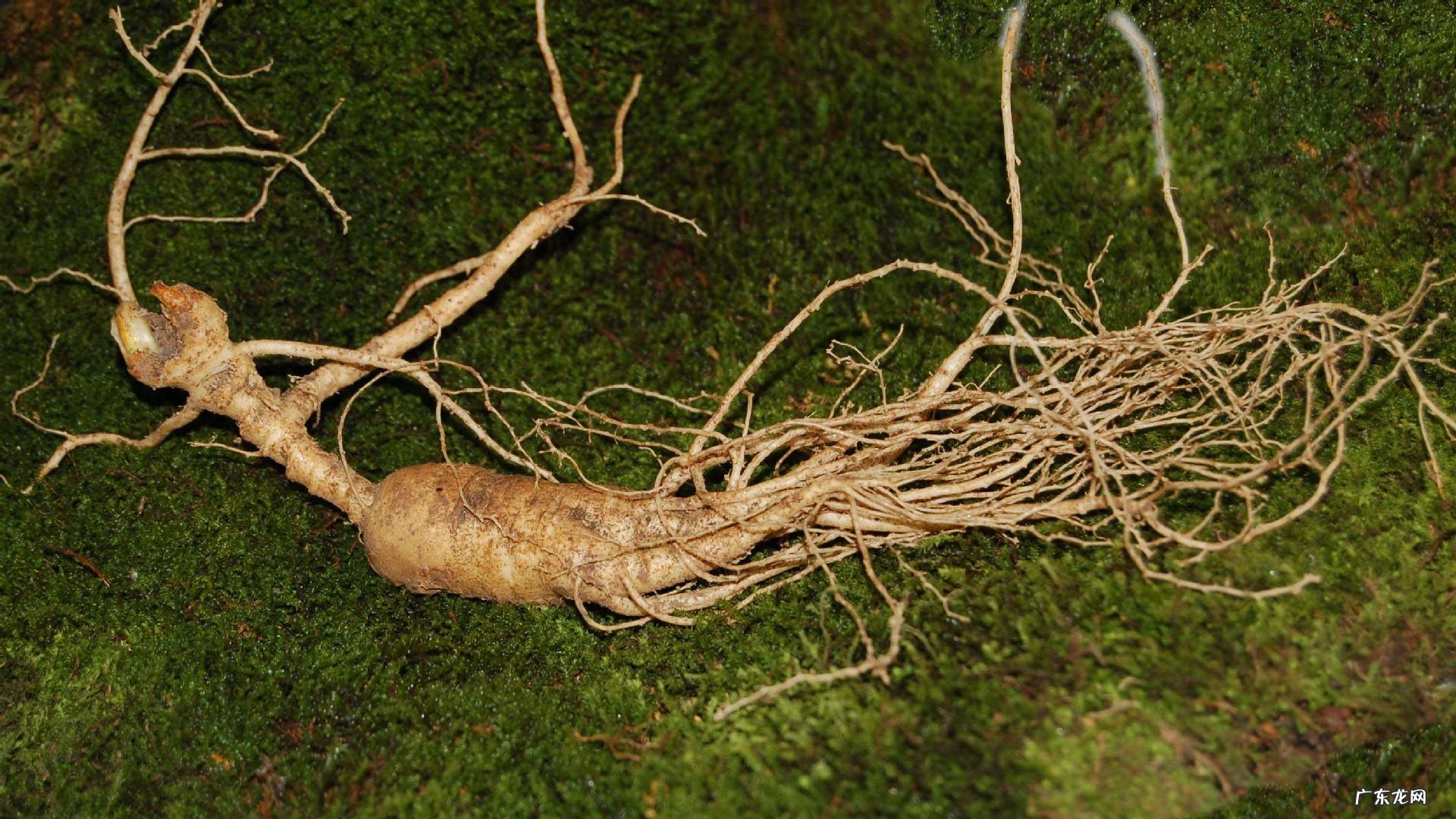 农村开什么店吸引人 农业好项目