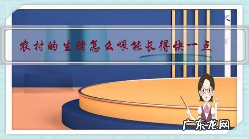 养猪怎么喂才长得快 农村的生猪怎么喂能长得快一点?