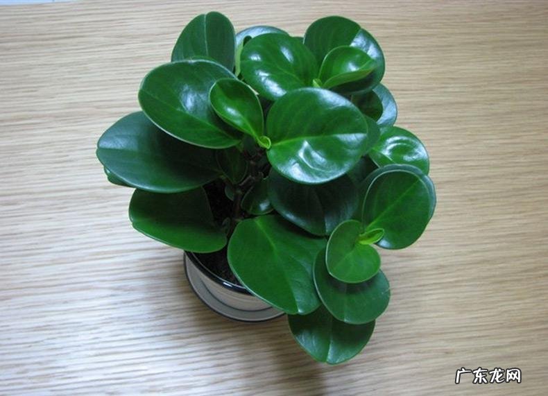 卧室万万要摆这3样物品 卧室家里放什么风水好