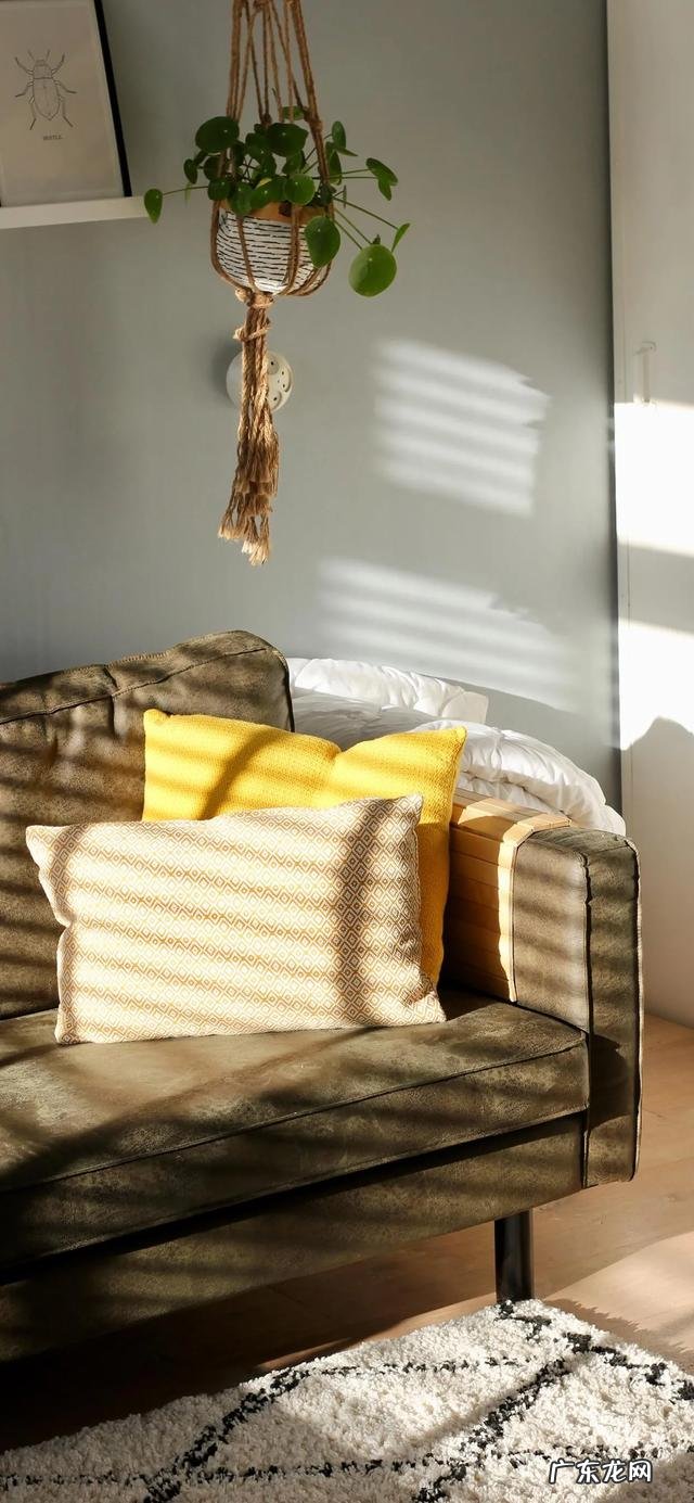 有哪些令人感到温暖的句子可以分享?