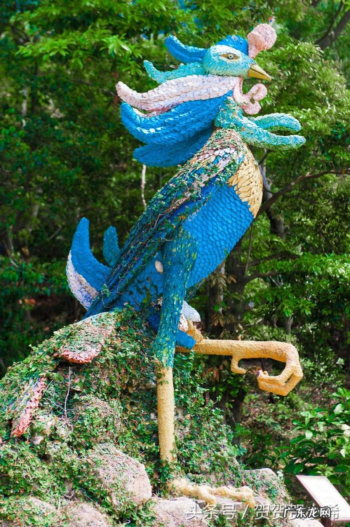 香港哪个人写的风水书比较好 香港最全风水书籍