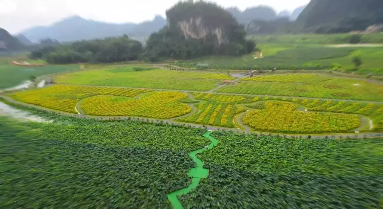 地理山形什么龙形怎么看 英德市九龙风水地理山形图片