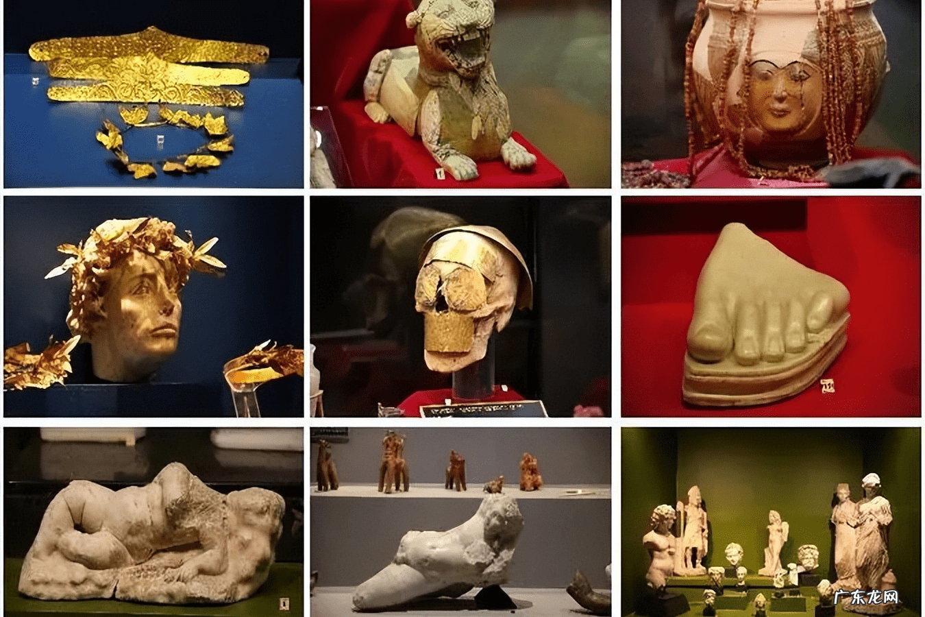 金星葬窝图片 金星葬窝木星葬节