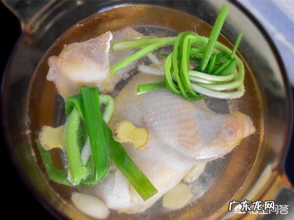 怎样清炖鸡汤?