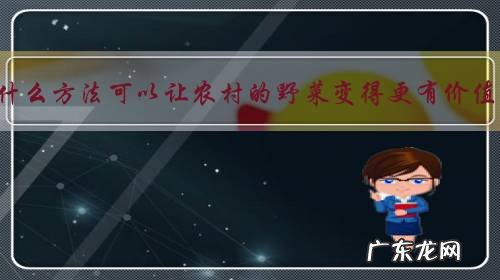 有什么方法可以让农村的野菜变得更有价值?