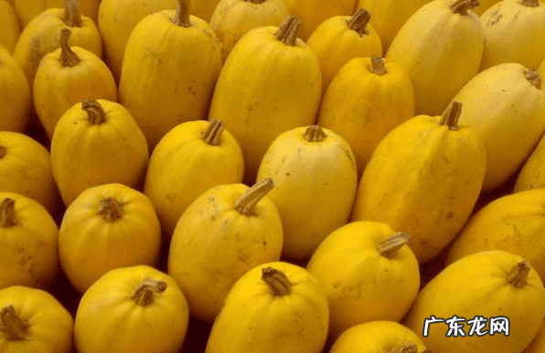 降血糖蔬菜第一名 降血糖的蔬菜有哪些