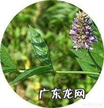 有什么好的美白和祛痘印方法吗?