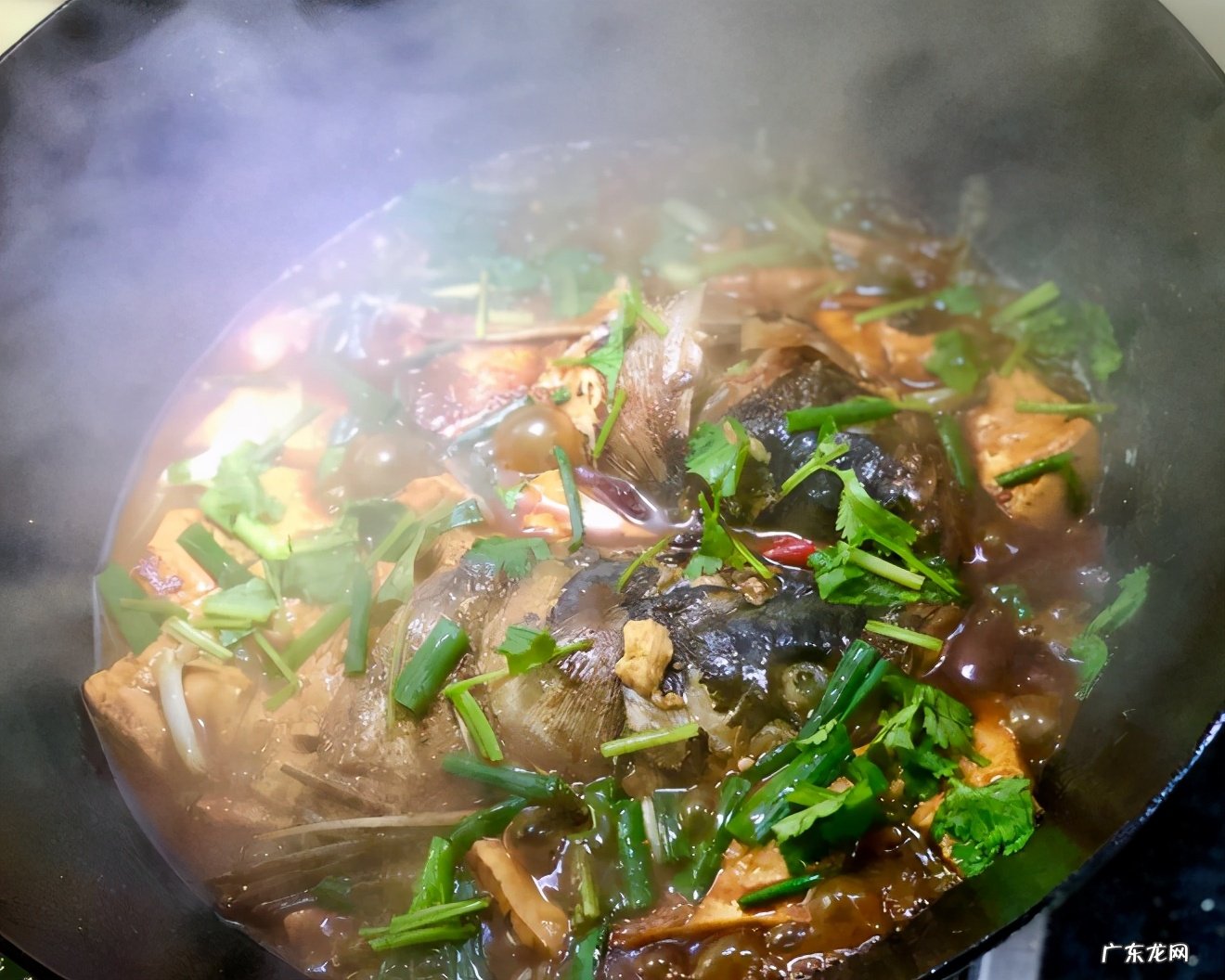 鱼头的种特色美味做法鲜香下饭美味多汁吃一口就停不下来 鱼头的做法和步骤