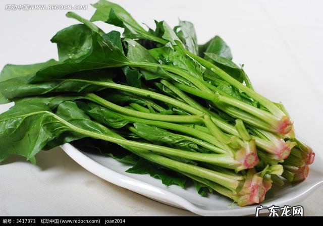 孩子吃什么能长高呢?