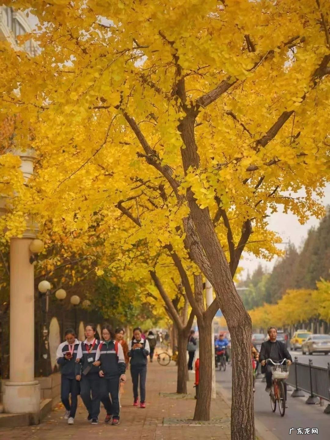 新江湾城豪宅 新江湾城风水不好