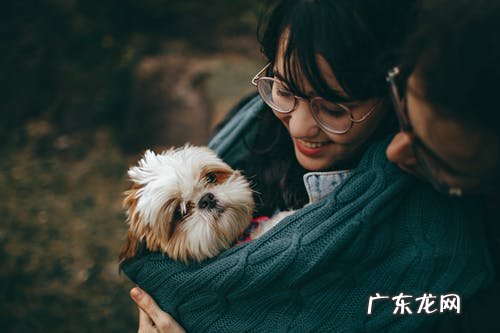 幽默无法拒绝的表白，十句简短表白的话 幽默表白短句