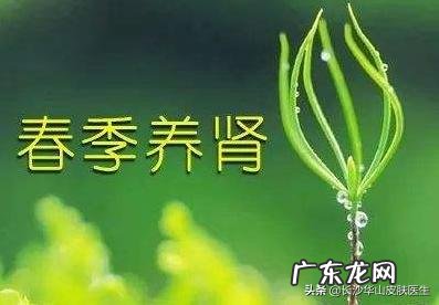 春季如何养肾?