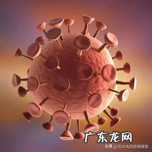 既然酒精可以消灭艾滋病病毒，那么为啥喝酒不能预防艾滋病？