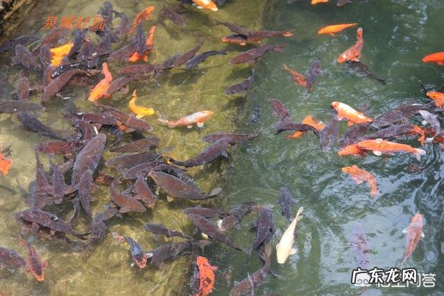 全国有哪些出名的旅游景点?