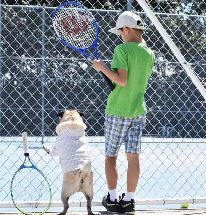 爱好网是什么网站 兴趣爱好网球