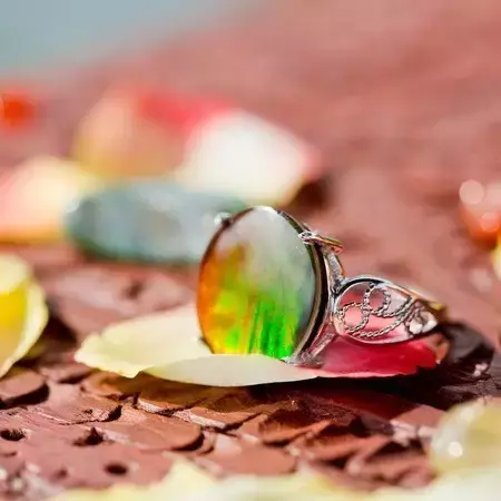 风水知识李居明 李居明学风水