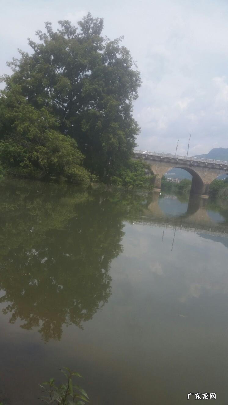 晚上钓鱼遇到怪事 夜钓遇到风水宝地好吗