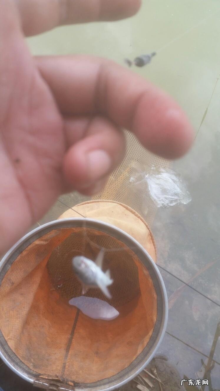 晚上钓鱼遇到怪事 夜钓遇到风水宝地好吗