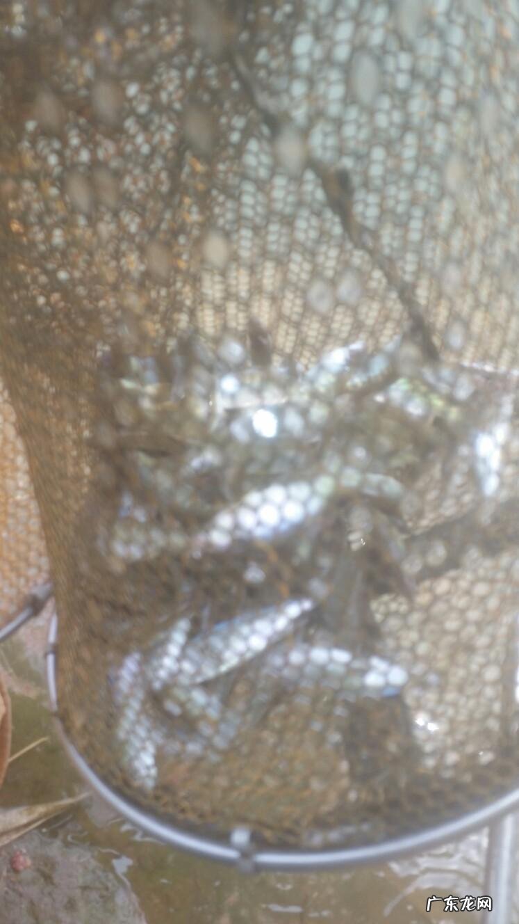 晚上钓鱼遇到怪事 夜钓遇到风水宝地好吗