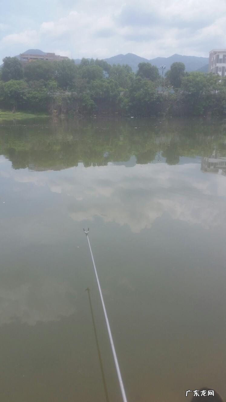 晚上钓鱼遇到怪事 夜钓遇到风水宝地好吗