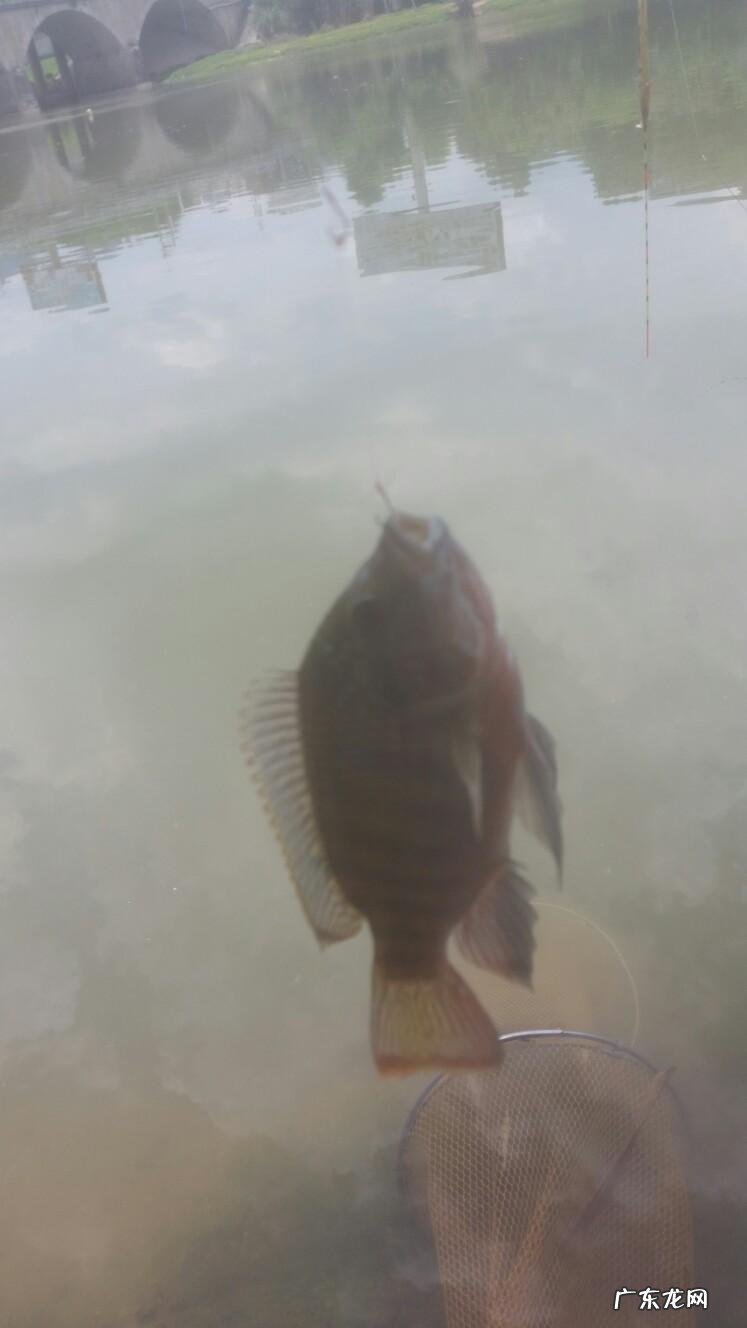 晚上钓鱼遇到怪事 夜钓遇到风水宝地好吗