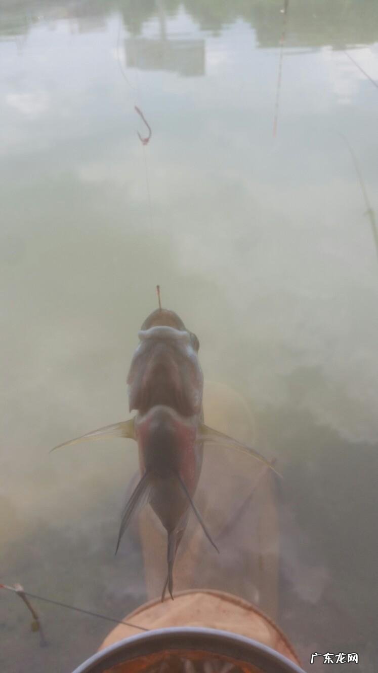晚上钓鱼遇到怪事 夜钓遇到风水宝地好吗