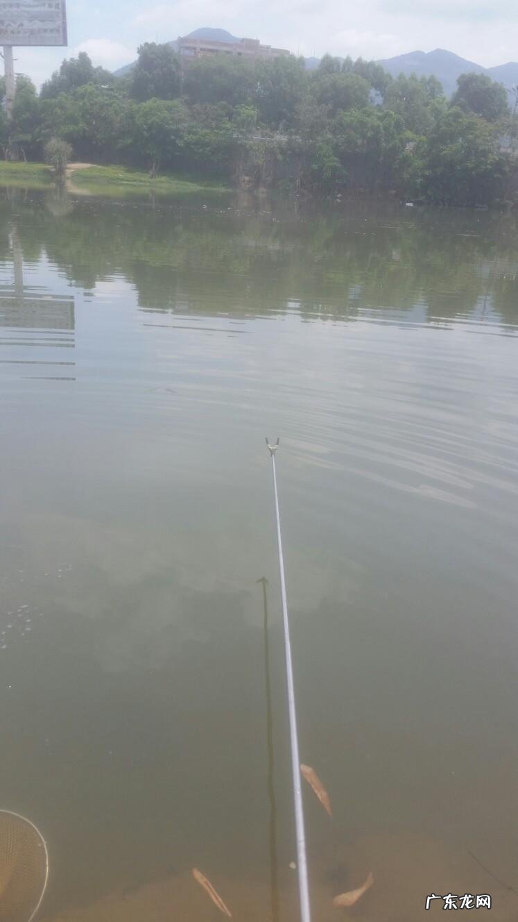 晚上钓鱼遇到怪事 夜钓遇到风水宝地好吗