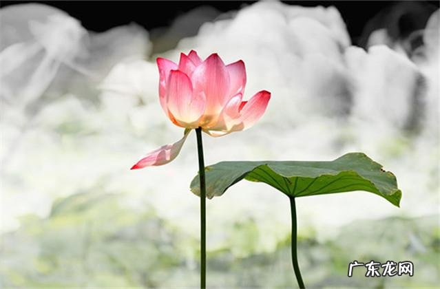 《韩非子》10句千古名言,寓意深刻,值得你一读再读! 韩非名言的意思