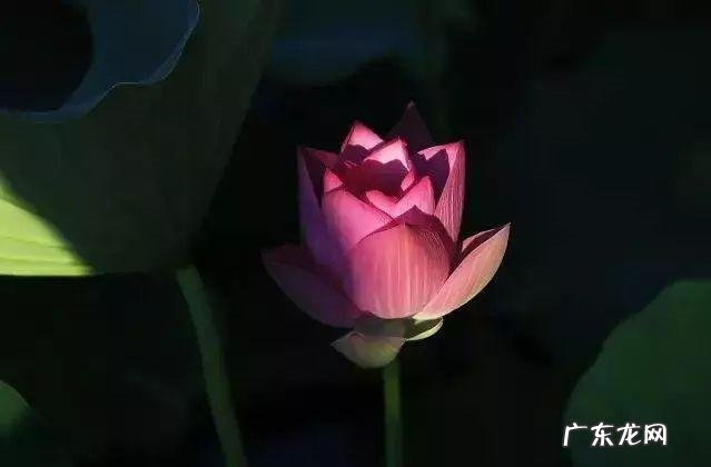 《韩非子》10句千古名言,寓意深刻,值得你一读再读! 韩非名言的意思