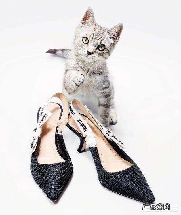 白色裤子搭配什么鞋子好呢?