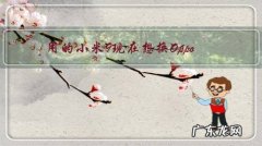 用的小米9现在想换Oppo Reno Ace怎么样呢？