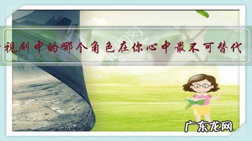 电视剧中的哪个角色在你心中最不可替代?