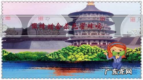 假蜂蜡会杀死蜜蜂吗?