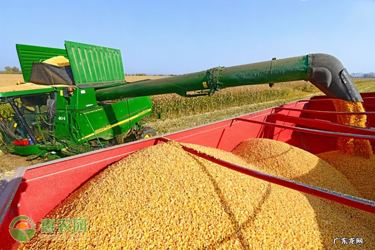 后天是世界勤俭日,它的由来是什么?有关勤俭的名言警句有哪些? 关于节俭的名言有哪些