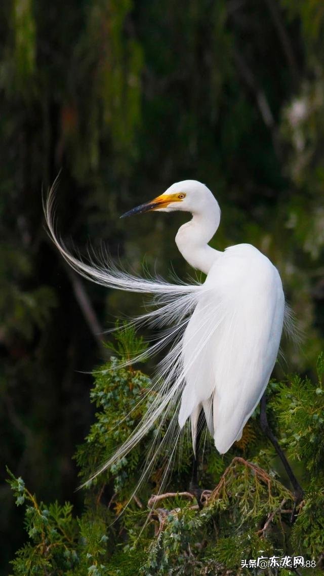 有没有哪件事，虽然过了很久，让你一想起就泪如雨下？