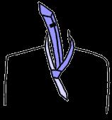 怎样正确打领带?