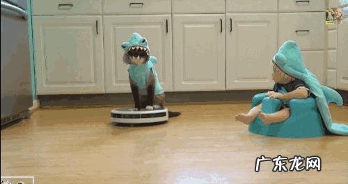 从门到客厅再到卧室,如何打造全方位的智能家居?