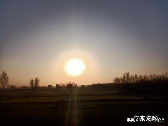 用什么方法瘦脸最快?