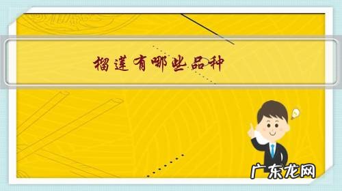 什么榴莲品种最好 榴莲有哪些品种？怎么挑选？