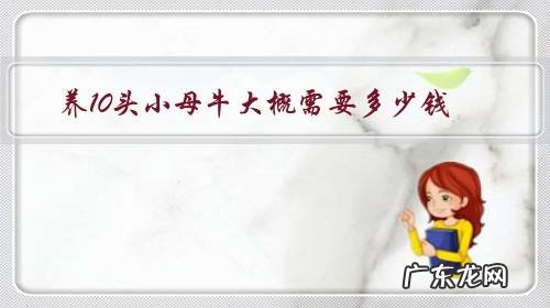 养殖十头牛需要多少钱 养10头小母牛大概需要多少钱?