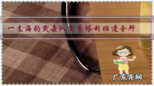 一支海豹突击队突袭塔利班遭全歼,美国称是雇佣兵,这是怎么回事?