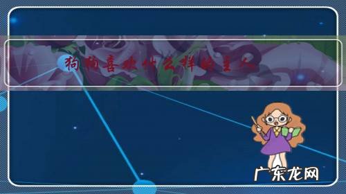 什么样的主人就有什么样的狗 狗狗喜欢什么样的主人?