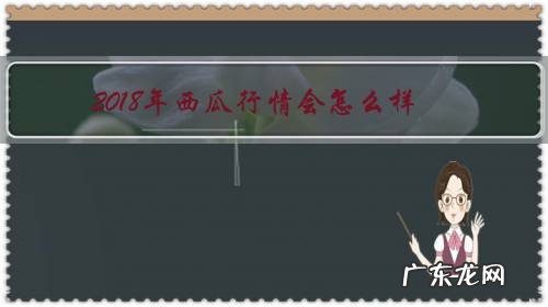 今年西瓜价格怎么那么高 2018年西瓜行情会怎么样?