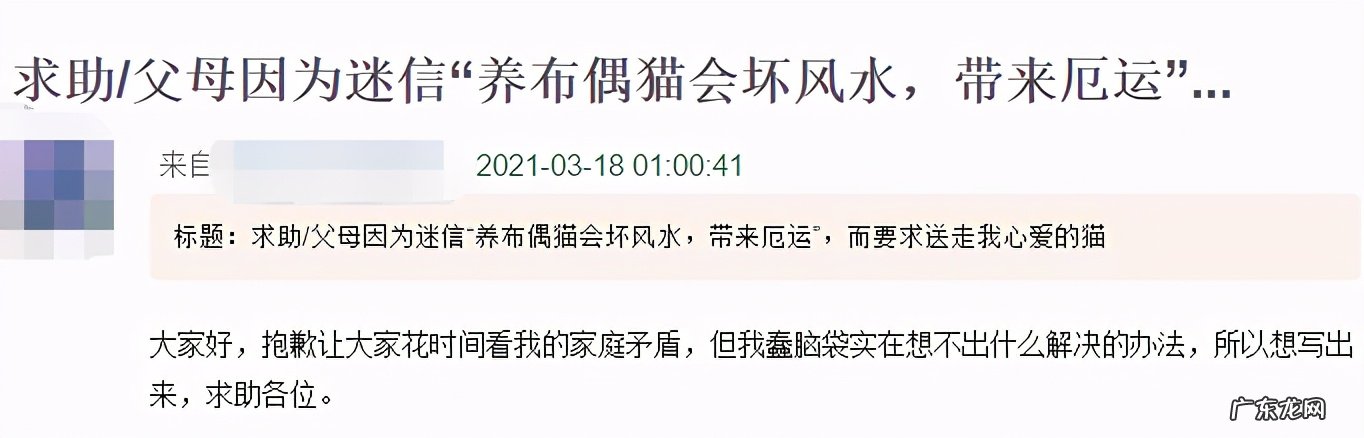 养猫能破坏风水 客厅里养猫会影响家里的风水吗