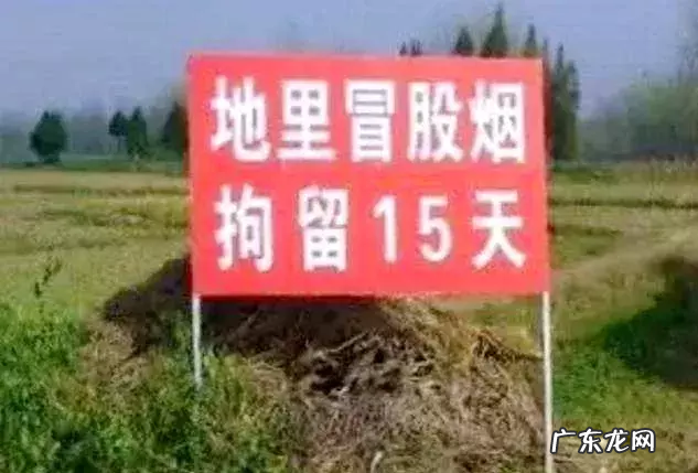 永城各乡镇的小伙伴注意:这些“三夏”秸秆禁烧标语请收好 三夏防火标语大全