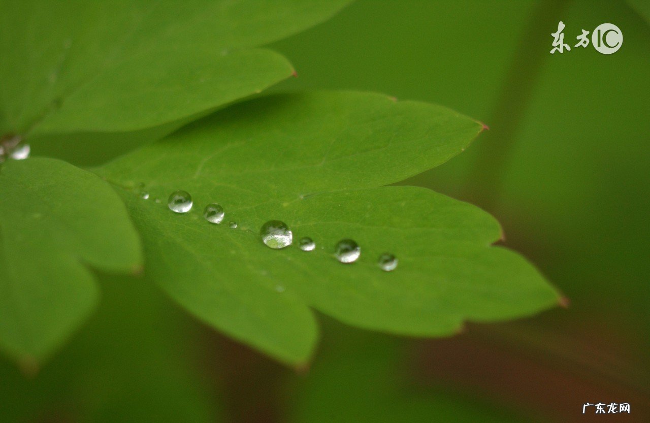 生命是美好的、灿烂的！热爱生命的名人格言26条 关于热爱生命的名言名句