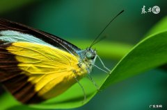 生命是美好的、灿烂的！热爱生命的名人格言26条 关于热爱生命的名言名句